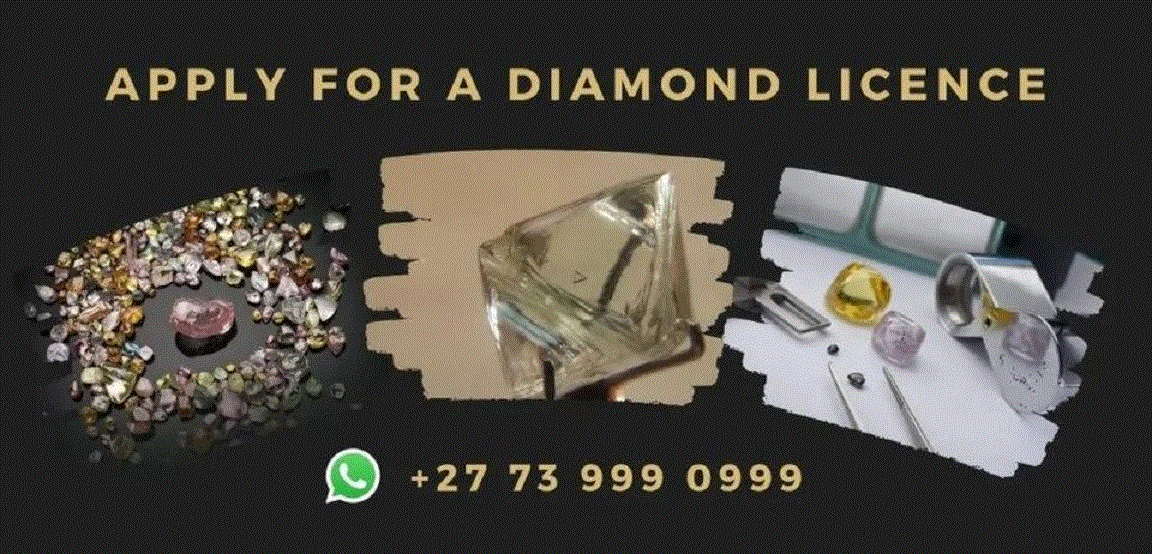 christo Wiese, diamond licence in South Africa